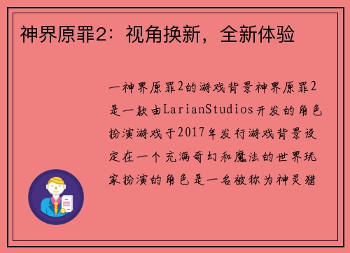 神界原罪2：视角换新，全新体验